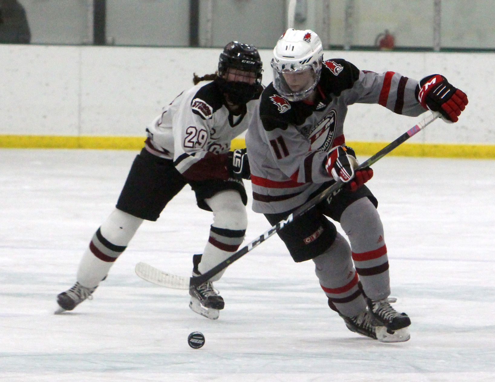 Prep girls hockey state semifinals: Chippewa Falls/Menomonie at Central Wisconsin 2-17-21
